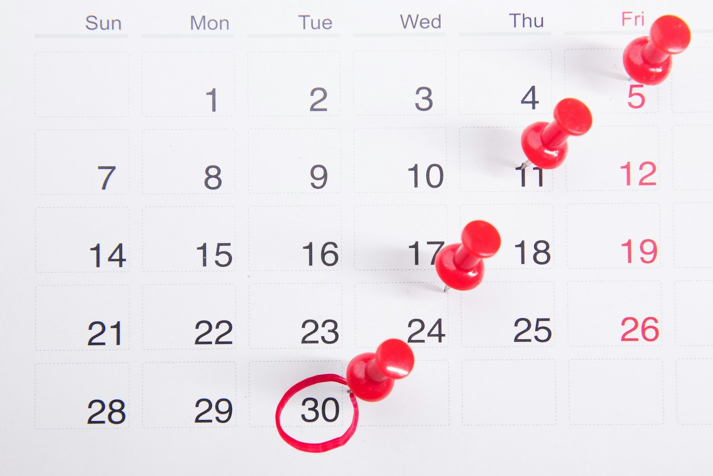 Calendario de programación de spots